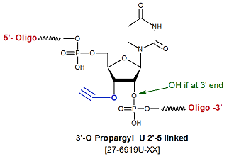 picture of 3'-O-propargyl/Alkyne U 2'-5' linked