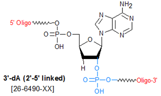 picture of 3'-dA (2'-5' linked)