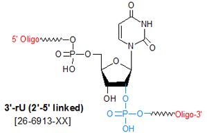 picture of 3'-rU (2'-5' linked)