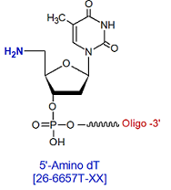 picture of 5'-Amino dT