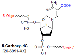 picture of 5-Carboxy dC