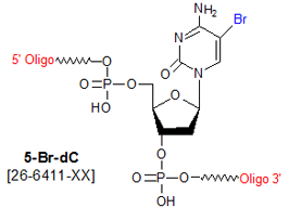 picture of 5-bromo deoxycytosine (Br dC)