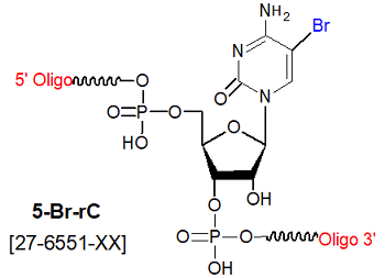 picture of 5-bromo ribocytosine (5-Br C)