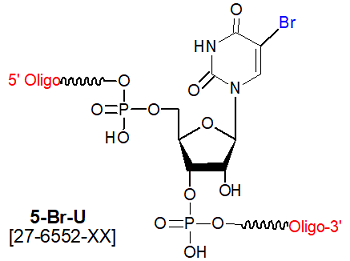 picture of 5-bromo ribouridine (5-Br rU)