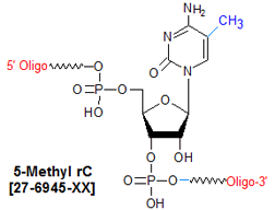 picture of 5-methyl-Cytosine [5mrC]