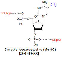 picture of 5-methyl deoxycytosine [5mdC]