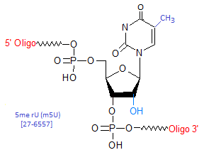 picture of 5-Methyl-Uridine (m5U)