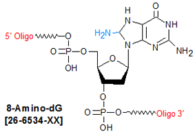 picture of 8-Amino-dG