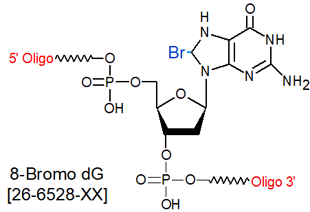 picture of 8-bromo dG (8-Br dG)
