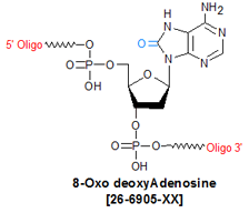 picture of 8-Oxo deoxyAdenosine (8-Oxo dA)