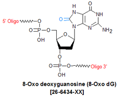 picture of 8-Oxo deoxyguanosine (8-Oxo dG)
