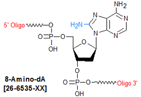 picture of 8-amino-dA