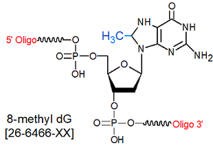 picture of 8-methyl-dG 
