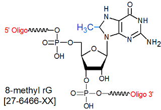 picture of 8-methyl-rG 