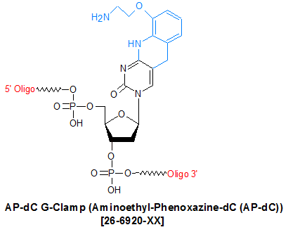 picture of AP-dC G-Clamp (Aminoethyl-Phenoxazine-dC (AP-dC))