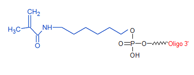 picture of Acrydite-Methacrylate C6