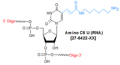 picture of Amino C6 U (RNA)