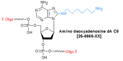 picture of Amino deoxyadenosine dA C6