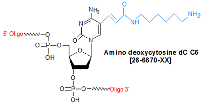 picture of Amino deoxycytosine dC C6