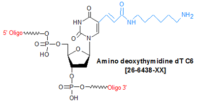 picture of Amino deoxythymidine dT C6