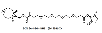 picture of BCN-Exo-PEG4-NHS