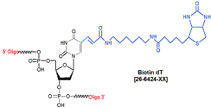 picture of Biotin deoxythymidine dT