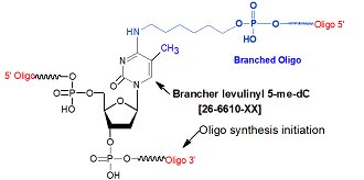 picture of Brancher levulinyl 5-me dC