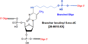 picture of Brancher levulinyl 5-me dC