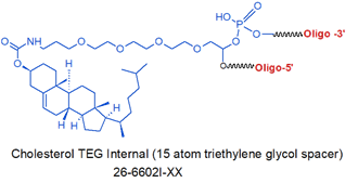 picture of Cholesterol TEG (15 atom triethylene glycol spacer) Internal LMO