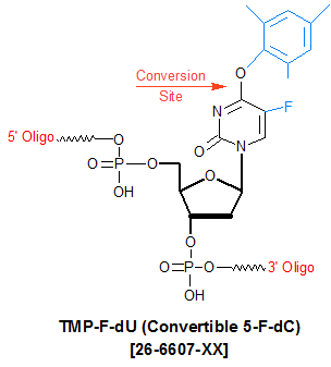 Convertible 5-F-dC Oligo Modifications from Gene Link