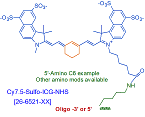 picture of Cy7.5-Sulfo-Indocyanine Green (ICG) NHS