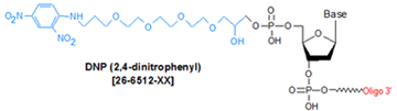 picture of DNP TEG (2, 4-dinitrophenyl)