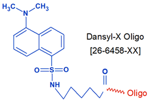 picture of Dansyl-X NHS