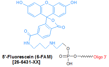 picture of 3'-Fam (6-fluorescein amidite (6-FAM))