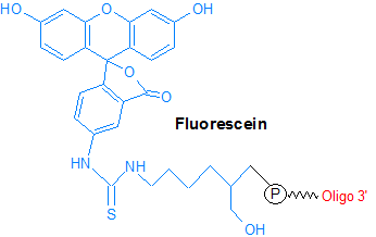 picture of Fluorescein-3'
