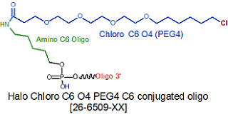 picture of Halo Chloro Oligo Tag PEG4-II NHS