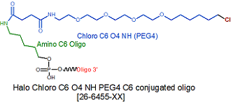 picture of Halo Chloro Oligo Tag PEG4 NHS