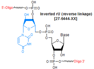 Inverted rU (reverse linkage) Oligo Modifications from Gene Link