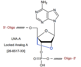 picture of Locked Analog A (LNA-A)