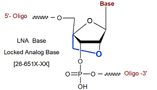 picture of Locked Analog Bases (LNA-N)