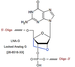 picture of Locked Analog G (LNA-G)