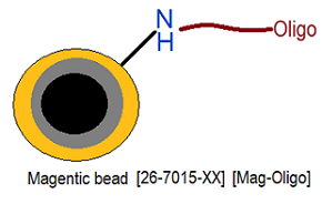 picture of Magnetic Bead Oligo Conjugation