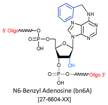 picture of N6-Benzyl Adenosine (bn6A)