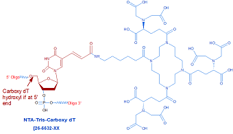 picture of Tris NTA (Tris Nitrilotriacetate) Carboxy dT Oligo Conjugate