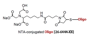 picture of NTA Mono (Nitrilotriacetate) Oligo Conjugate