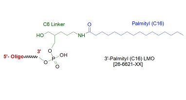 picture of Palmityl C16 (3') LMO