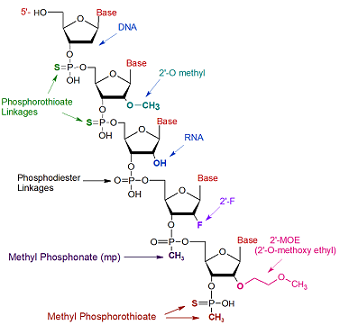 picture of Phosphorothioate (SOX) 