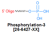 picture of Phosphorylation-3'