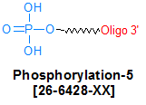 picture of Phosphorylation-5'