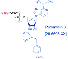 picture of Puromycin